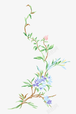花卉藤条树藤高清图片