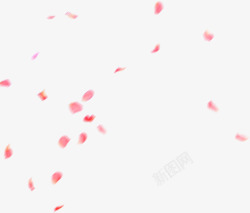 粉色漂浮花瓣漂浮装饰素材