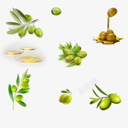 油橄榄绿色橄榄油橄榄果高清图片