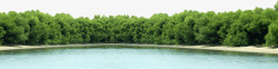 湖边绿树湖边森林高清图片
