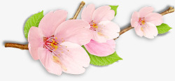 春季粉色环保花朵素材