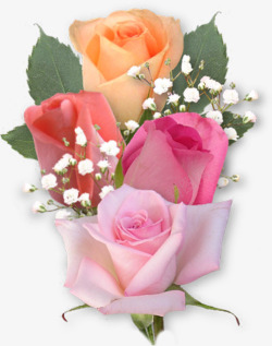 春季清新彩色玫瑰花束素材