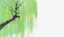手绘中国画水墨清新淡雅插图柳树素材