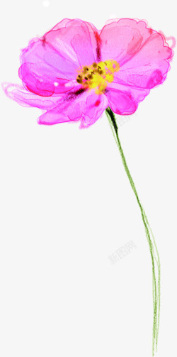 粉色水彩春季手绘花朵素材