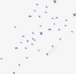 飘舞紫色小鸟素材