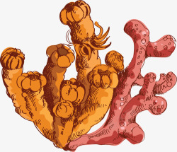 海洋生物手绘珊瑚素材
