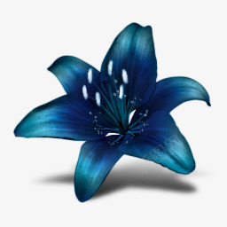 蓝色花朵贝壳和蝴蝶图标图标