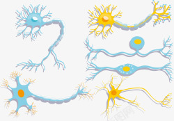 神经菌群细胞素材