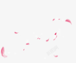 鲜艳粉色花瓣飘落素材