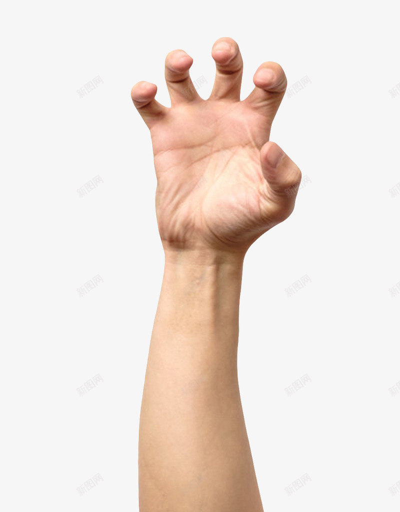动物爪子手臂示意图png免抠素材_88icon https://88icon.com 上肢 伸手 意思 手掌 手臂示意图 抓 指示 粗壮 老虎 肢体 表示 龙爪手