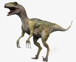 尖嘴恐龙尖齿利爪3D恐龙高清图片