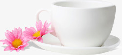精致纯白瓷器茶杯花朵装饰素材