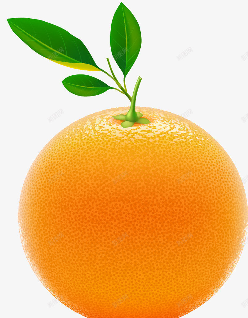 橙子新鲜香橙橘子矢量图eps免抠素材_88icon https://88icon.com 新鲜 橘子 橙子 矢量图 香橙