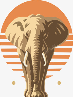 野生大象动物素材