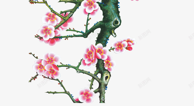 古画梅花喜鹊png免抠素材_88icon https://88icon.com 动物 古画 喜鹊 复古 手绘 梅花 花朵 鸟