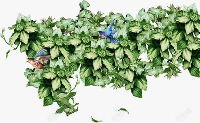 古典绿叶蓝鸟png免抠素材_88icon https://88icon.com png素材 古典绿叶 蓝鸟
