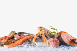 海鲜菜冰块上的海鲜高清图片