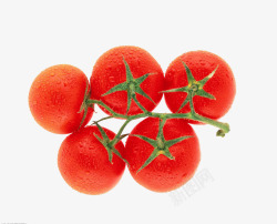 西红柿蔬菜水果素材