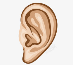 卡通人耳朵听力部位素材