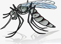防蚊用具一个蚊子高清图片