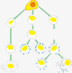 生物课本细胞分列图高清图片