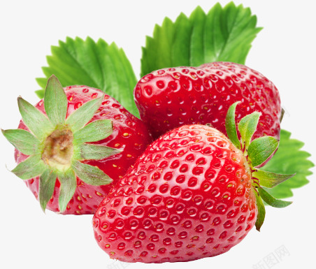 新鲜红色草莓水果png免抠素材_88icon https://88icon.com 新鲜 水果 红色 草莓