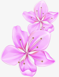 梦幻花卉紫色海报背景七夕情人节素材