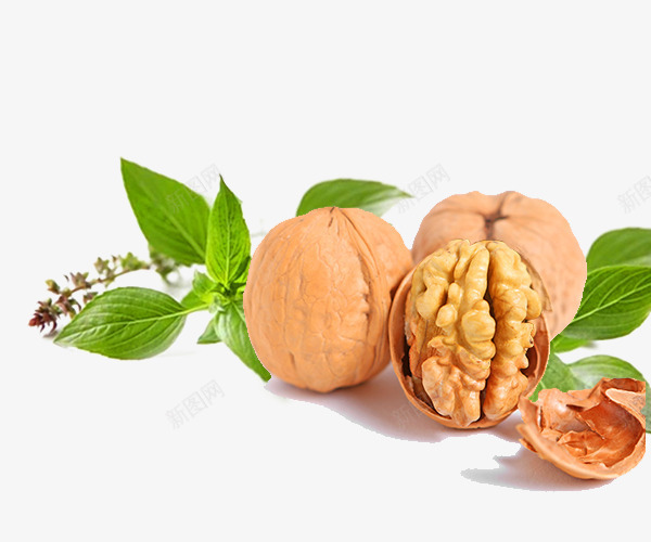 核桃png免抠素材_88icon https://88icon.com 叶子 坚果 核桃 绿色 零食 食品