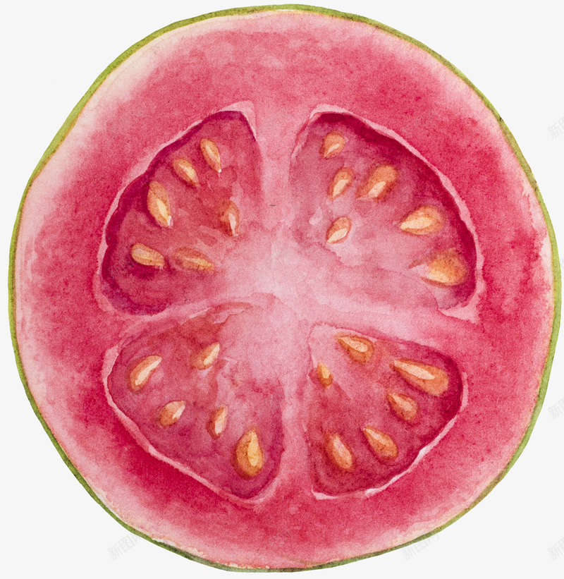 卡通手绘水果装饰海报番石榴png免抠素材_88icon https://88icon.com 卡通植物插画 卡通装饰 小清新插画 广告设计 水果 水果插画 海报设计 番石榴 美食 鸡屎果