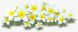 黄色淡雅花朵小花素材