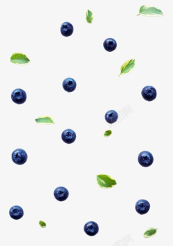 蓝莓背景素材
