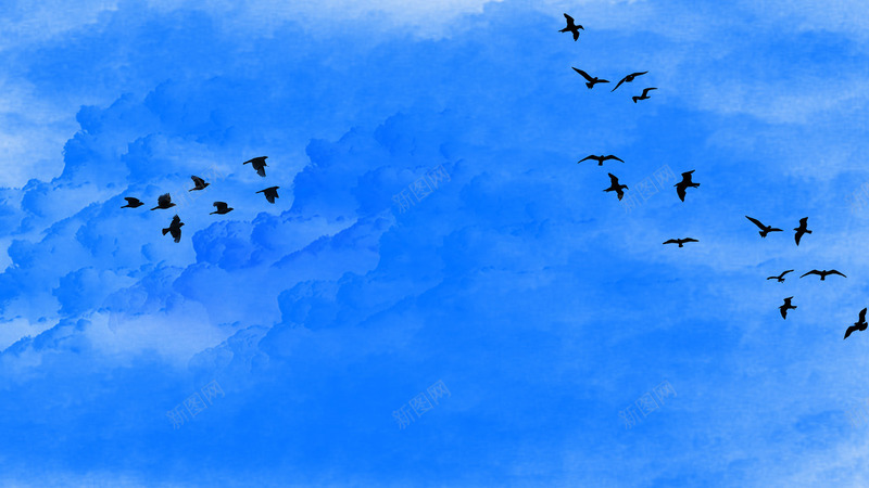 蓝天下飞翔的鸟群景观png免抠素材_88icon https://88icon.com 自然景观 蓝天 飞翔 飞鸟 鸟群