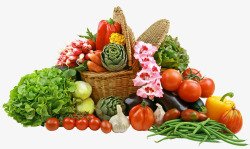矢量蔬菜合集食材合集高清图片