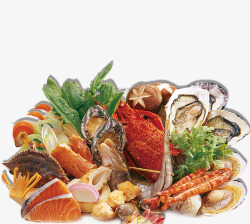 矢量扇贝食物海鲜大全蔬菜高清图片