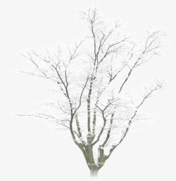 合成效果冬天的树木造型合成雪花素材