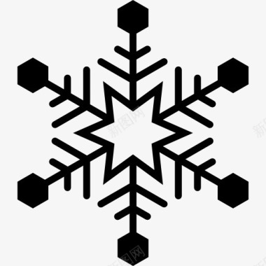冬天的性格Snowflake图标图标