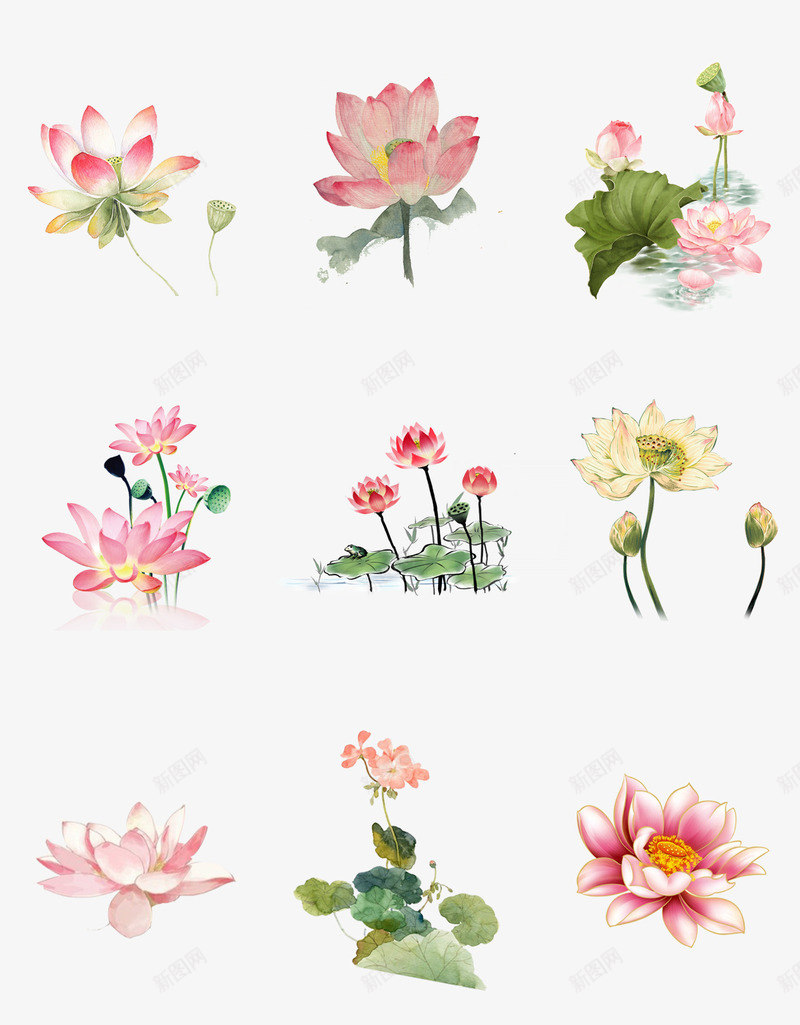 荷花psd免抠素材_88icon https://88icon.com 300像素图 PSD免抠 中国风 免抠大图 手绘 荷花 高清免抠 高清荷花图安素材