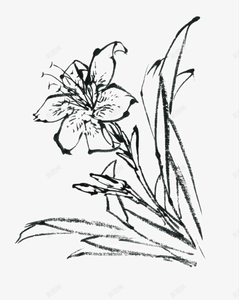 线描蝴蝶花png免抠素材_88icon https://88icon.com 中国画 写意花草 国画小品 国粹 宣纸画 手绘花卉 美术插图 艺术作品 装饰花草