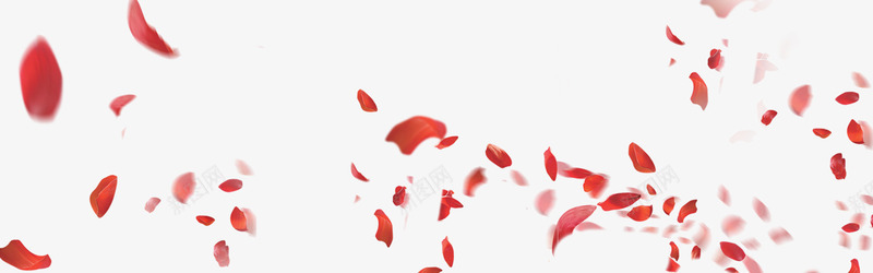 飘散飞舞的红色花瓣png免抠素材_88icon https://88icon.com 红色 花瓣 飘散 飞舞