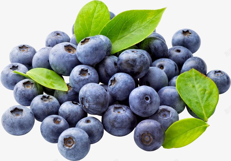 实物新鲜水果蓝莓png免抠素材_88icon https://88icon.com 一堆蓝莓 产品实物 实体图 新鲜蓝莓 水果 绿叶 蓝莓