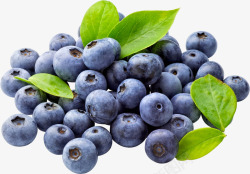 一堆蓝莓实物新鲜水果蓝莓高清图片