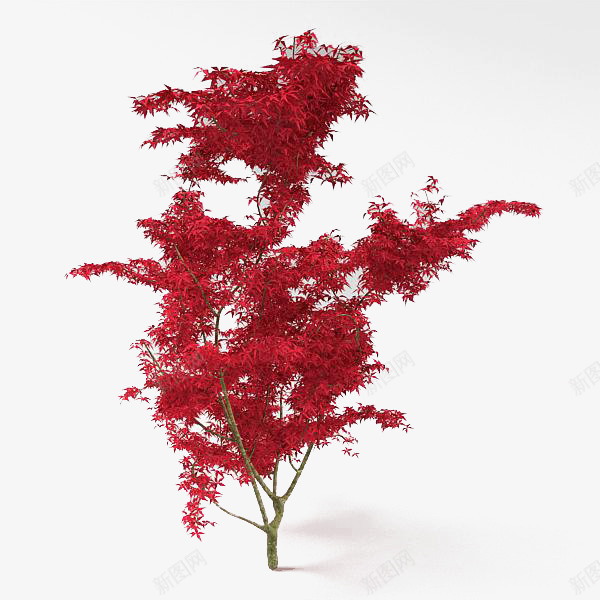 红色的游戏树png免抠素材_88icon https://88icon.com 3D树木 树木 游戏 游戏场景 游戏树 电子游戏