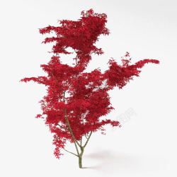 游戏树红色的游戏树高清图片