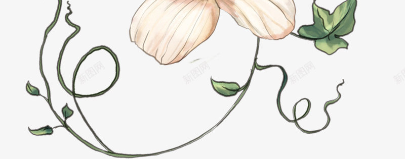 粉色月季花图png免抠素材_88icon https://88icon.com 创意 卡通手绘 月季花 水彩 简约 粉色 花朵 装饰 鲜花