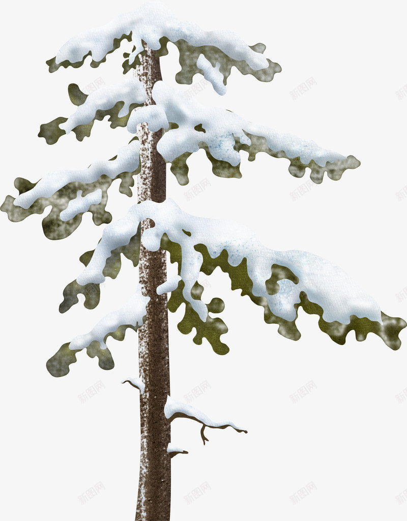 冰雪覆盖的松树png免抠素材_88icon https://88icon.com 下雪 冬天 冬季树枝 冰雪 枝头 树枝 雪压枝头