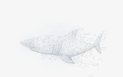 淡色智能背景图片鲨鱼高科技点线面线条高清图片
