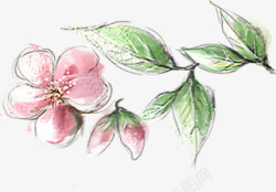 涂鸦植物花朵树叶桃花素材