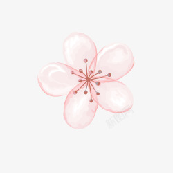 粉色少女心粉色系花朵彩绘图高清图片
