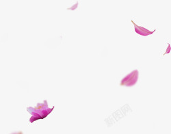 飘扬植物小清新海报紫色花朵素材