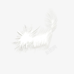 白色羽绒素材白色羽毛高清图片